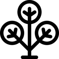 Phylogenetic