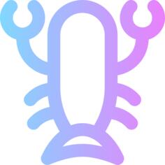 Lobster