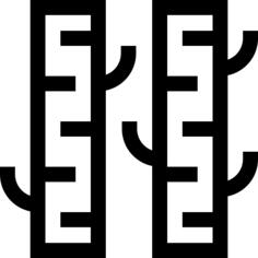 桦木
