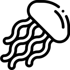 Jellyfish