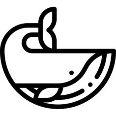鲸
