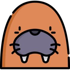 Walrus