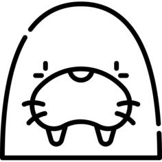 Walrus