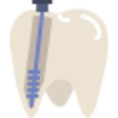 Teeth