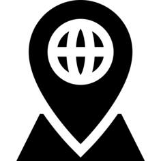 Pin