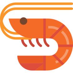 Shrimp