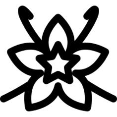 vanilla