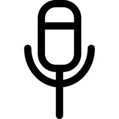 Voice recorder