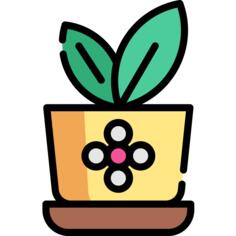植物盆栽
