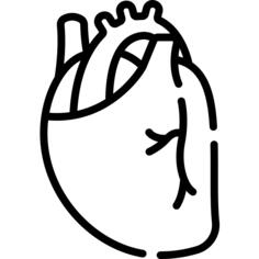 心