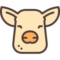 Pig
