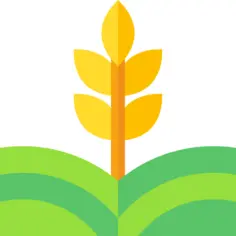 科