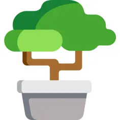 Bonsai