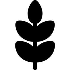 Branch