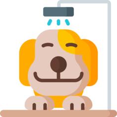 狗