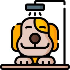 狗
