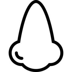 Nose