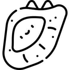 贝壳