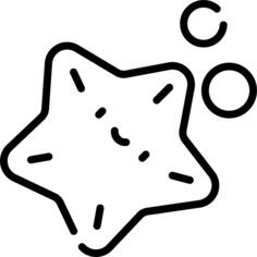 海星