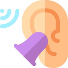 Ear plug