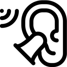 Ear plug