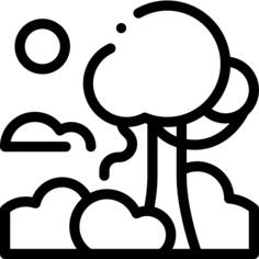 雨林