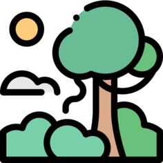 雨林