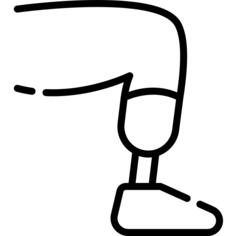 Prothesis