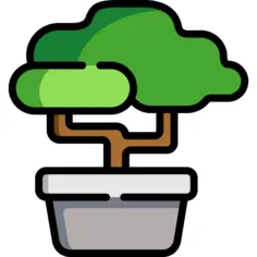 Bonsai