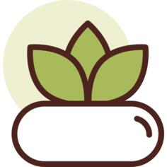 植物