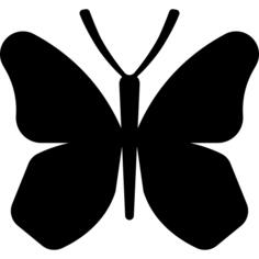 Butterfly wings