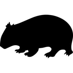 Wombat shape
