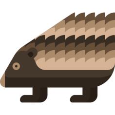 Hedgehog