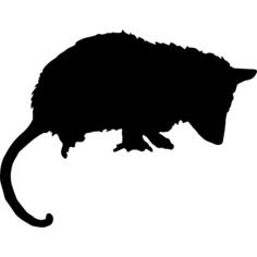Opossum mammal animal silhouette