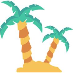 Coconut tree