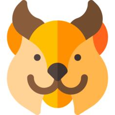 Lynx