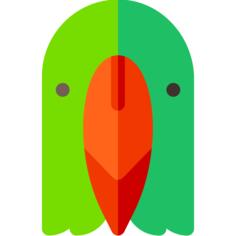 鹦鹉