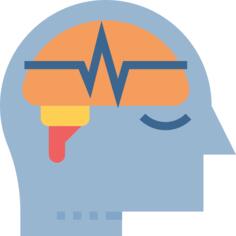Brain
