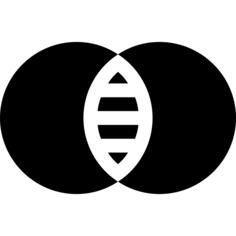 调整
