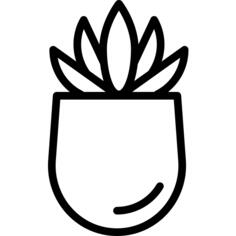 植物