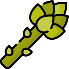 Asparagus