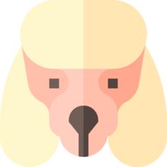 Dogs