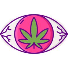 Allergy