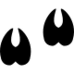 Hoofprints