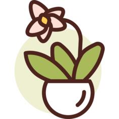 植物