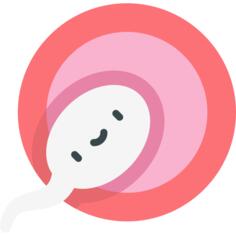 受精