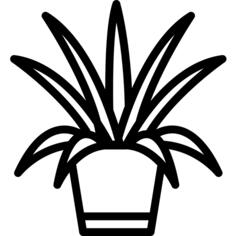 植物