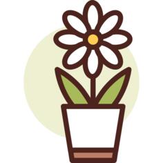 植物