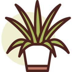植物