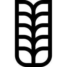 小麦